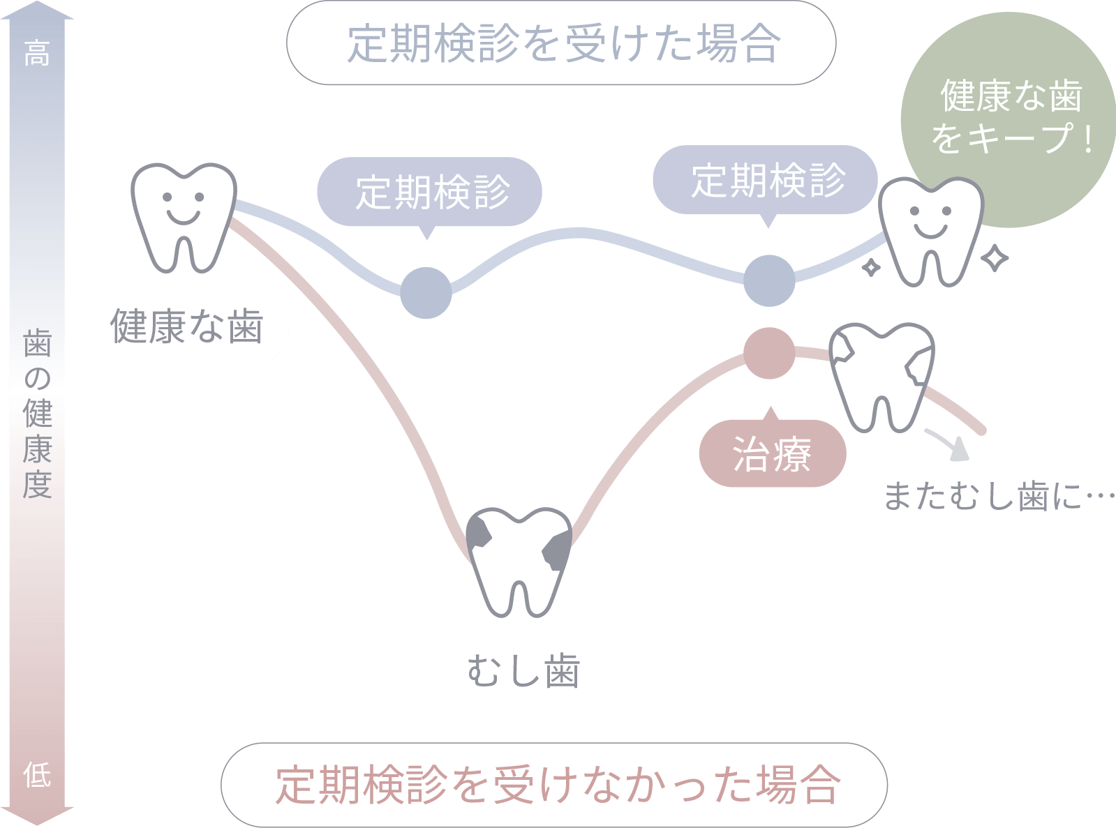 歯科での定期検診が 歯の寿命を伸ばす