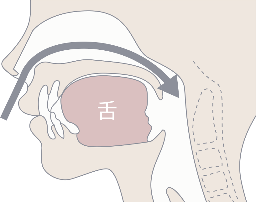 咀嚼・飲み込み・発音・呼吸の正しいトレーニングは鼻呼吸で改善