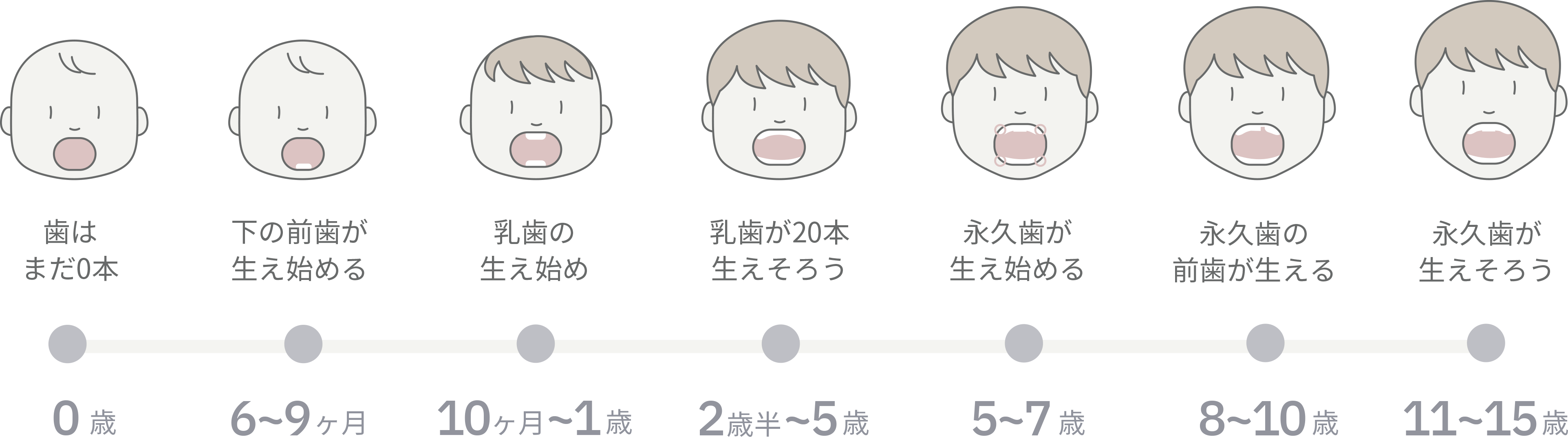 こどもの歯の成長