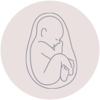 妊娠後期 28週（8ヶ月）